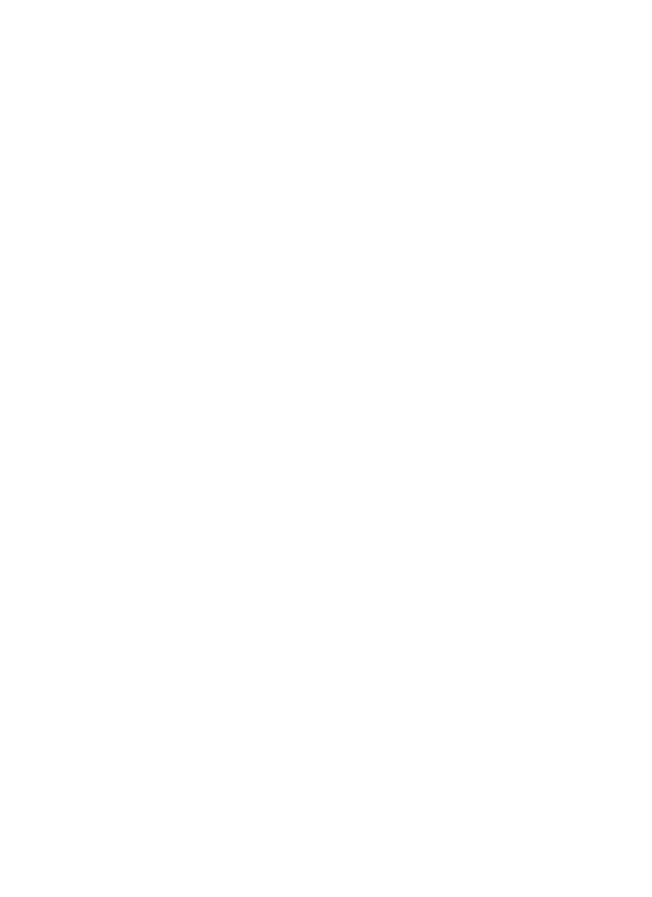 Face Lab